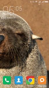 Find the best seal apk mobile android apps and games below! Seal Wallpapers For Android Apk Download