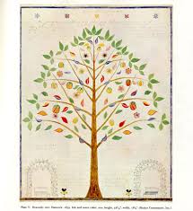 Shaker Trees Gift Drawing Art Spirit Drawing