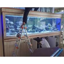 Berbeda halnya dengan aquarium toples yang mungkin harganya terbilang mahal, dan hanya jenis ikan tertentu saja yang bisa memasukinya. Jual Giant Aquarium Laut Pt Aneka Rimba Aquarium Dan Aksesoris Ud Jaya Aquatic Surabaya Surabaya Jawa Timur Indotrading