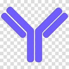 Antibodies Transparent Background Png Cliparts Free Download Hiclipart Don't forget to take a handful of our complimentary antibiotics on your way out. antibody cartoon 2 of 2.