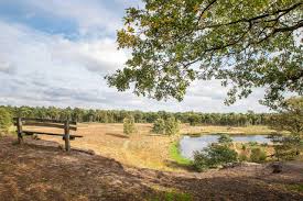 Lees 151 reviews van nationaal park de maasduinen arcen limburg nederland. Nationalpark De Maasduinen Europas Langste Flussdunenlandschaft Lichtwolken