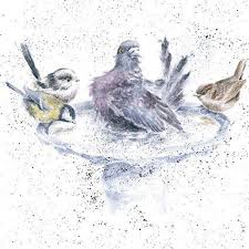 Bird In Bird Bath Drawing Wenskaart Bird Bath Vogel Schilderijen Wenskaart Vintage Illustraties