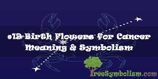 To give and receive emotional warmth and security. 19 Birth Flower For Cancer Meaning Symbolism
