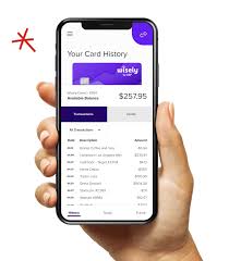 Wisely Pay Card Number - Truth or Fiction