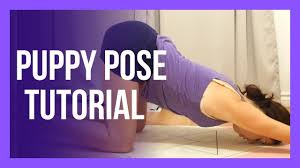 Puppy Pose Tutorial Anahatasana Melting Heart Tips Tricks Youtube Puppy Pose Free Yoga Videos Yin Yoga Poses