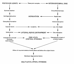 The Biology And Biomechanics Of The Spinal Degenerative Cascade Neupsy Key
