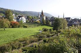 Image result for zug switzerland people living