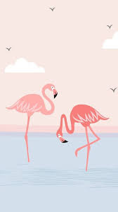 Pin By Aysegul Sukru Tosun On Flamingo Flamingo Wallpaper Art Wallpaper Cute Wallpapers
