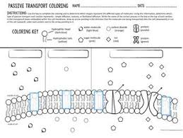 Cell Transport Passive Transport Coloring By Biology Roots Tpt Passive Transport Cell Transport Cell Membrane Coloring Worksheet
