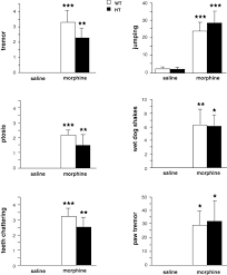 Naloxone Precipitated Morphine Withdrawal Syndrome In Cn98 Wt And Download Scientific Diagram