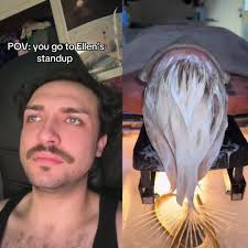 Best ellen funny videos Online Sale diddy pdiddy babyoil ellendegeneres  ellenshow pennywise fyp foryoupage xyzbca funnyvideos viral