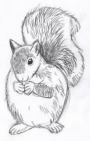 How to draw animal fur step by step. Drawing Animals With Fur Art Starts