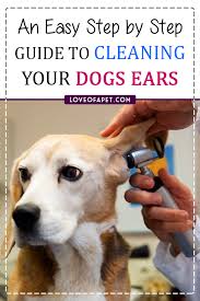 Pin Pa Animals And Pets