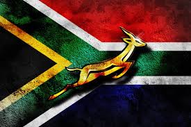 Simply Love This Country Springboks Rugby South Africa South African Flag South Africa Rugby