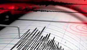 Is a tech company that provides information about earthquakes and enables users to both see what the seismic hazard is at their home, and learn about precautions to help lessen the risk. Sismo De Magnitud 4 36 En Zona De Enjambre De Temblores Al Oeste De Ecuador