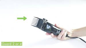With easily detachable heads, hygenic grooming is easier than ever. How To Use Hair Clippers With Pictures Wikihow