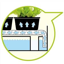 Maybe you would like to learn more about one of these? Grow Light Garden Free Uk Delivery Greenfingers Com