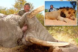 Millionaire big game hunter from US trampled to death by five elephants while eyeing his next kill in Africa https://t.co/67JTjbxXba