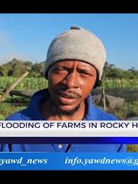 What Keeps in St Elizabeth Jamaica Black River March 2025