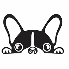 Peeking French Bulldog Svg French Bulldog Face Svg Cut File Download Jpg Png Svg Cdr Ai Pdf Eps Dxf Format