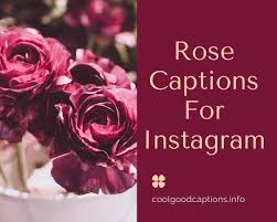 You put a smile in our hearts. 117 Rose Captions For Instagram Of Your Next Pictures Updated