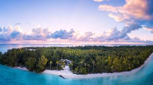 Access to the brando is by air tetiaroa which operates daily twenty minute flights from papeete. The Brando Resort Introduces New Brando Residences