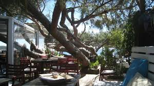 Dolce Di Frutti Rossi Picture Of Couleurs Jardin La Croix Valmer Tripadvisor