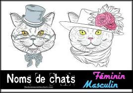 Liste Des Noms Pour Un Chat Femelle Et Male Nom Original Pour Chat Nom De Chat Nom Pour Chaton Femelle Prenom Chat Rig Chat Male Noms De Chat Chat Femelle