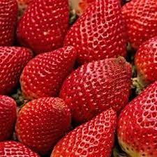 This is a great way to buy strawberries in bulk. Strawberry Equivalents And Measures Creative Homemaking