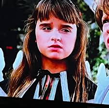 Are actors playing multiple roles in Little House