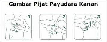 Silakan anda ambil beberapa daun sirih yang masih segar, berwarna hijau, lebar, dan juga masih untuk kali ini saya akan membeikan info terbaru tentang cara memperbesar payudara secara cepat, untuk menjawab pertanyaan yang masuk. Cara Membesarkan Payudara Dengan Aman Dan Cepat H B3
