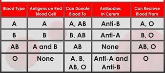 Types Of Genotype Blood Groups Phenotypye