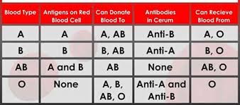 types of genotype blood groups phenotypye