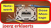 Wer uä dose im internet kaufen möchte, sollte einige punkte beachten, um qualitative produkte zu erhalten. Netzwerkdose Uae Dose Anschliessen Patchen Rj45 Lan Dose Youtube