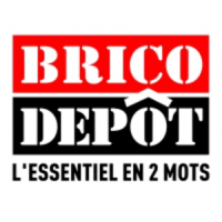Brico Depot Recrute Pour Des Postes De Vendeur Se H F Gaillac Occitanie France Linkedin