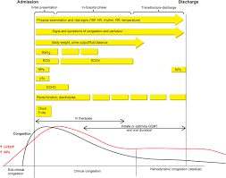 Comprehensive In Hospital Monitoring In Acute Heart Failure