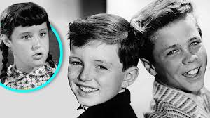 Want to Meet Jerry Mathers From 'Leave It to Beaver'? Here's How, as Cast  Prepare for Reunion!