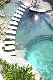 Moderner Schwimmteich Mit Brucke Minimalistisch Swimming Pool Im Freien Naturschwimmbecken Gartenpools