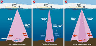 Gt51m Transducer And Cone Angle For Bottom Fishing The