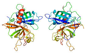 They are used in clinical medicine to treat embolic or thrombotic stroke. Tissue Plasminogen Activator Wikipedia