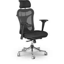 Ergo Ex Ergonomic Executive Office Chair Officechair Office Chair Ergonomic Office Chair Executive Office Chairs