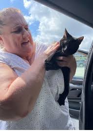 Magic went to his furever home today. Sad but happy. He will have such a  loving home and will have a big fur brother too. Happy life baby. We love  you. We