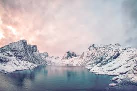 What is similarity between the arctic and antarctic. Arctic Vs Antarctic Which Is The Ultimate Charter Destination