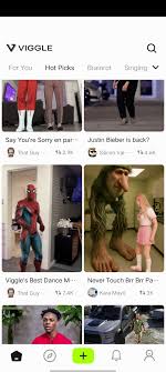 viggle国外最抽象的AI平台完全免费无需t子_ 酷库博客