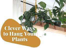 Maybe you would like to learn more about one of these? Clever Ways To Hang Your Plants Clever Bloom