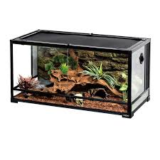 Reptizoo Reptile Glass Terrarium Double Hinge Door With Screen Ventilation Reptile Terrarium 36 X 18 X 18 Walmart Com Terrarium Reptile Terrarium Large Glass Terrarium