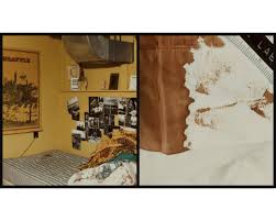 Graphic Content: Ted Bundy Crime Scene Photos