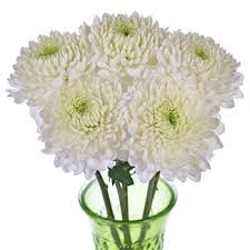 Today's top fifty flowers discount: White Flower Farm Promo Code March 2019