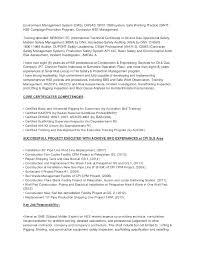 environmental auditor cv december 2020