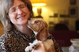 Destiny Welsh Springer Spaniels